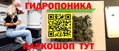 индика Наро-Фоминск