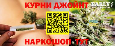 мдпв Нальчик