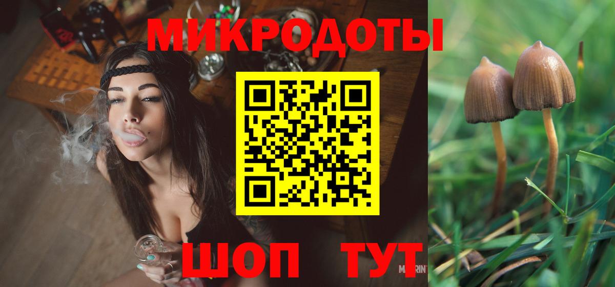 где купить наркотик  Псилоцибиновые грибы Magic Shrooms  Вход с VPN  Сочи 